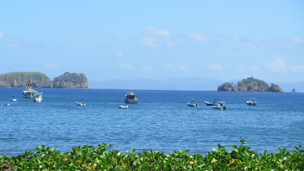 Hotel Coco Palms Playas del Coco Buitenkant foto