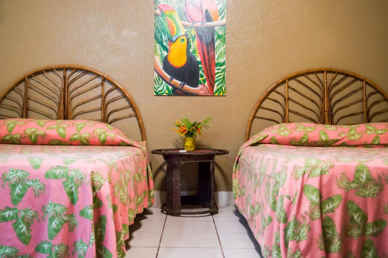 Hotel Coco Palms Playas del Coco Buitenkant foto